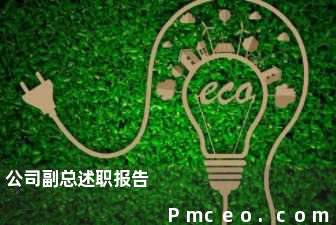 公司副总述职报告 公司副总述职报告
