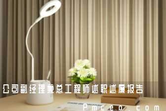 公司副经理兼总工程师述职述廉报告 公司副经理兼总工程师述职述廉报告