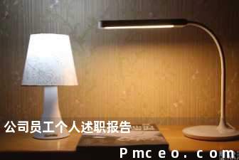公司员工个人述职报告 公司员工个人述职报告