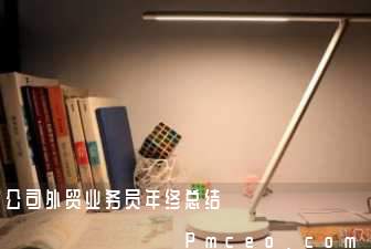 公司外贸业务员年终总结 公司外贸业务员年终总结