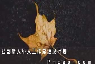 公司新人个人工作总结及计划 公司新人个人工作总结及计划