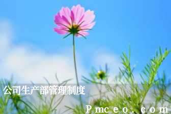 公司生产部管理制度 公司生产部管理制度