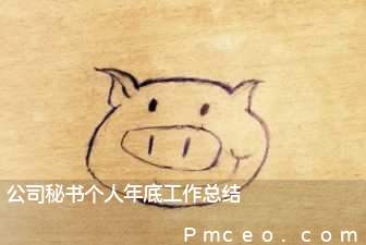 公司秘书个人年底工作总结 公司秘书个人年底工作总结