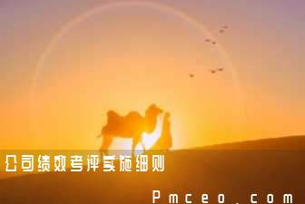 公司绩效考评实施细则 公司绩效考评实施细则