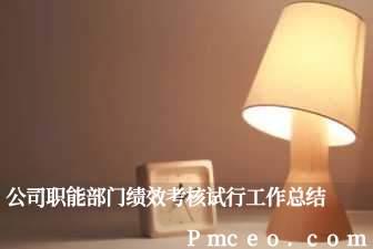 公司职能部门绩效考核试行工作总结 公司职能部门绩效考核试行工作总结