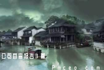 公司自查报告3篇 公司自查报告3篇