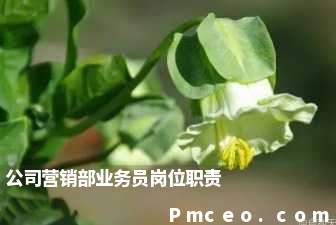 公司营销部业务员岗位职责 公司营销部业务员岗位职责
