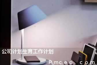 公司计划生育工作计划 公司计划生育工作计划