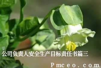 公司负责人安全生产目标责任书篇三 公司负责人安全生产目标责任书篇三