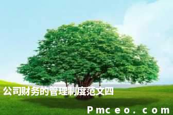 公司财务的管理制度范文四 公司财务的管理制度范文四
