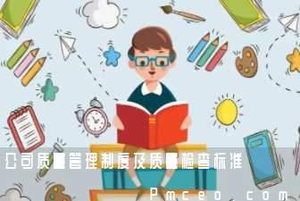公司质量管理制度及质量检查标准 公司质量管理制度及质量检查标准