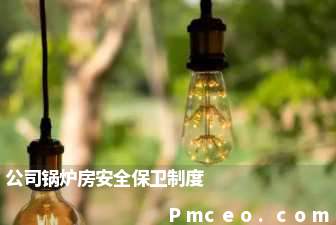 公司锅炉房安全保卫制度 公司锅炉房安全保卫制度