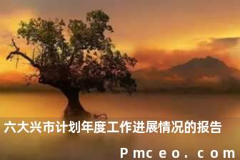 六大兴市计划年度工作进展情况的报告 六大兴市计划年度工作进展情况的报告