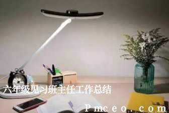 六年级见习班主任工作总结 六年级见习班主任工作总结