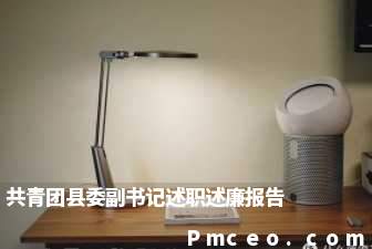 共青团县委副书记述职述廉报告 共青团县委副书记述职述廉报告