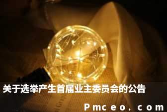 关于选举产生首届业主委员会的公告 关于选举产生首届业主委员会的公告