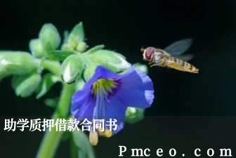 助学质押借款合同书 助学质押借款合同书