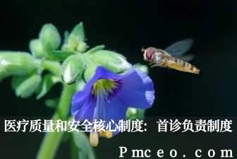 医疗质量和安全核心制度:首诊负责制度 医疗质量和安全核心制度:首诊负责制度