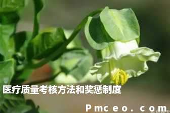 医疗质量考核方法和奖惩制度 医疗质量考核方法和奖惩制度
