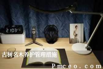 古树名木养护管理措施 古树名木养护管理措施