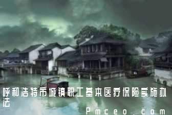 呼和浩特市城镇职工基本医疗保险实施办法 呼和浩特市城镇职工基本医疗保险实施办法