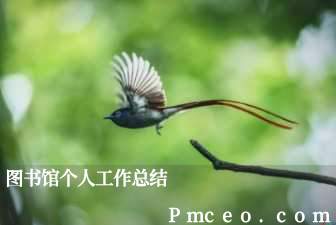 图书馆个人工作总结 图书馆个人工作总结