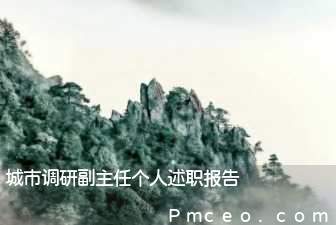 城市调研副主任个人述职报告 城市调研副主任个人述职报告