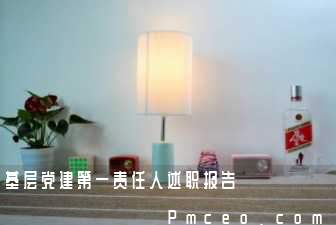 基层党建第一责任人述职报告 基层党建第一责任人述职报告