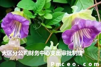 大区分公司财务中心支出审批制度 大区分公司财务中心支出审批制度