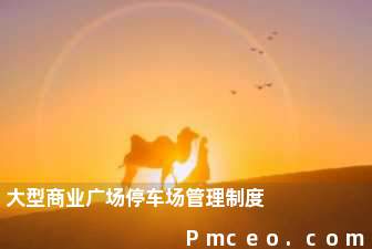 大型商业广场停车场管理制度 大型商业广场停车场管理制度