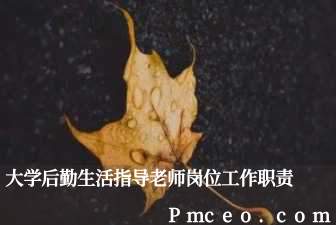 大学后勤生活指导老师岗位工作职责 大学后勤生活指导老师岗位工作职责
