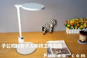子公司财务个人年终工作总结 子公司财务个人年终工作总结