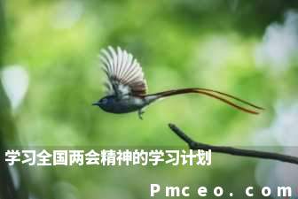 学习全国两会精神的学习计划 学习全国两会精神的学习计划