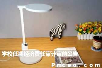 学校任期经济责任审计审前公告 学校任期经济责任审计审前公告