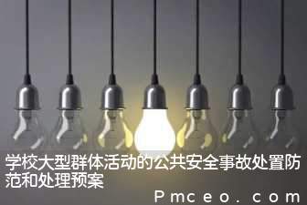 学校大型群体活动的公共安全事故处置防范和处理预案 学校大型群体活动的公共安全事故处置防范和处理预案