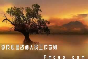 学校心理咨询人员工作守则 学校心理咨询人员工作守则