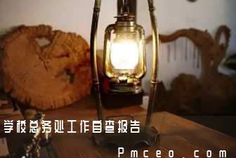学校总务处工作自查报告 学校总务处工作自查报告