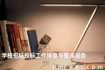 学校招标投标工作排查与整改报告 学校招标投标工作排查与整改报告