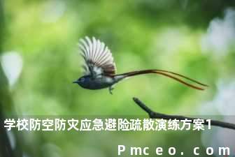 学校防空防灾应急避险疏散演练方案1 学校防空防灾应急避险疏散演练方案1