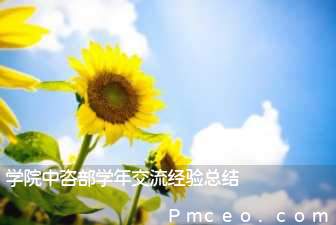 学院中咨部学年交流经验总结 学院中咨部学年交流经验总结