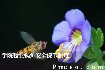 学院物业锅炉安全保卫制度 学院物业锅炉安全保卫制度