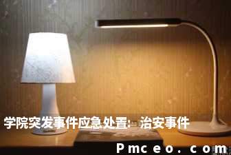 学院突发事件应急处置:治安事件 学院突发事件应急处置:治安事件