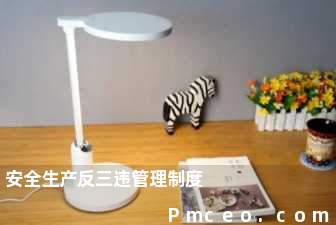 安全生产反三违管理制度 安全生产反三违管理制度