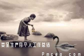安全生产月个人工作总结 安全生产月个人工作总结