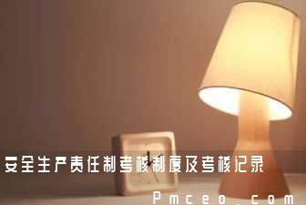 安全生产责任制考核制度及考核记录 安全生产责任制考核制度及考核记录
