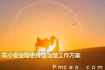 实小安全隐患排查治理工作方案 实小安全隐患排查治理工作方案
