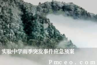 实验中学雨季突发事件应急预案 实验中学雨季突发事件应急预案