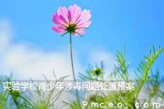实验学校青少年涉毒问题处置预案 实验学校青少年涉毒问题处置预案