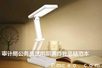 审计局公务员试用期满自我总结范本 审计局公务员试用期满自我总结范本