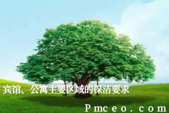 宾馆、公寓主要区域的保洁要求 宾馆、公寓主要区域的保洁要求